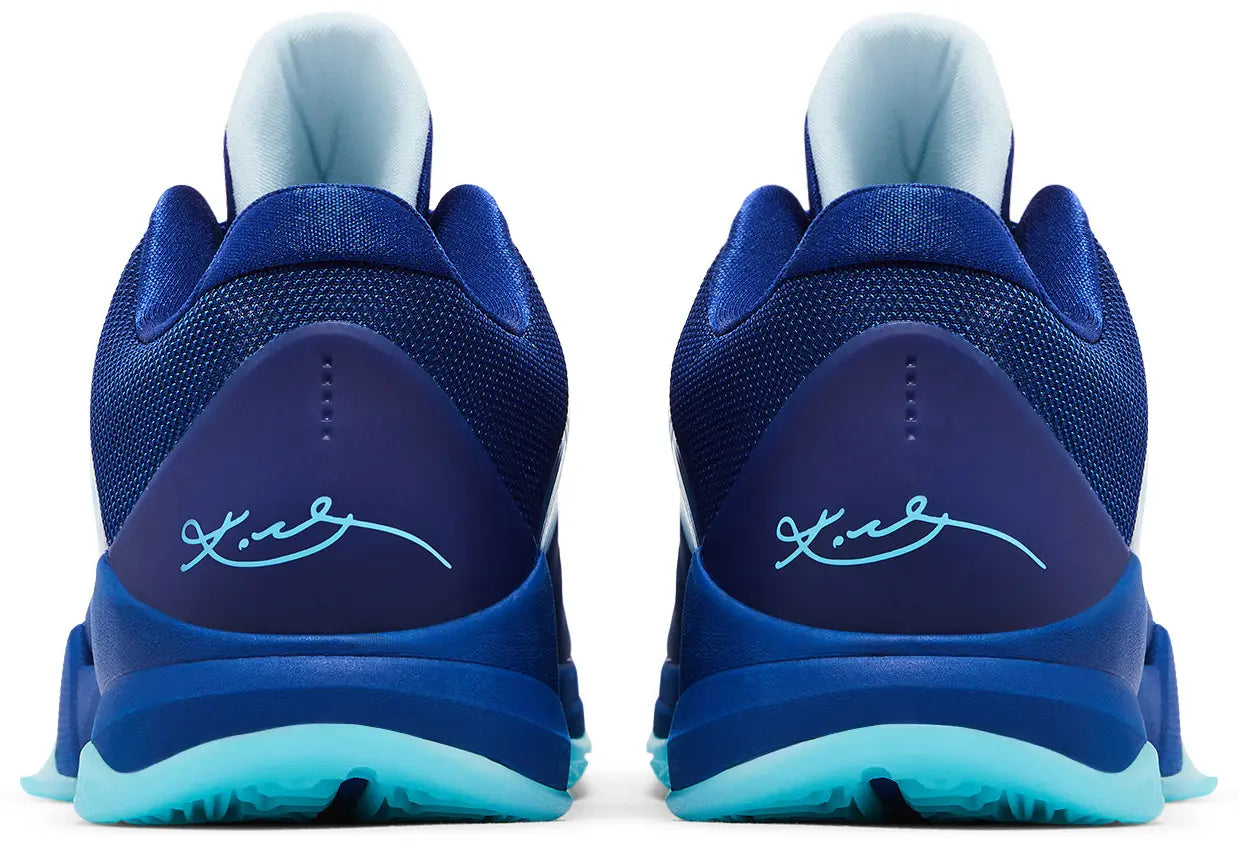 Kobe 5 Protro X-Ray